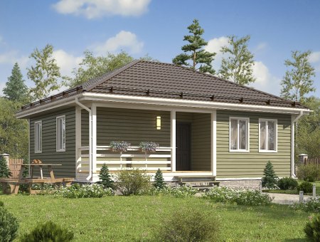 Тургенев. Каркасный дом 8х10 м., 80 кв.м.